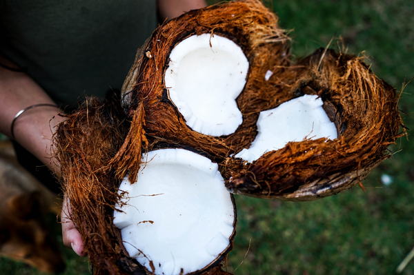 Maak kennis met de 100% natuurlijke ingrediënten van Coco Clean