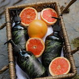 Hand & Body Wash, Grapefruit
